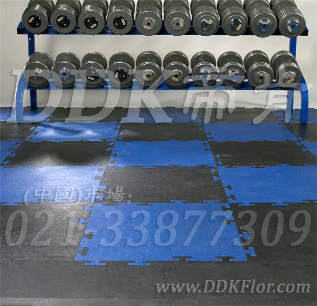 啞鈴器械區_藍色+黑色樣板圖片，帝肯(DDK)_4000（JP|勁豪）效果圖，健身房防震地墊,健身房橡膠地板,健身房地膠,健身房地毯,健身房地板膠,健身房地板,健身房地墊