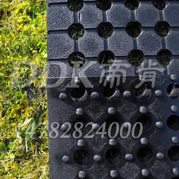 室外耐曬防滑自排水通道地毯樣板圖片,帝肯(DDK)_4500_222(室外草坪走道鋪設(shè)材料)效果圖 室外耐曬防滑自排水通道地毯樣板圖片,帝肯(DDK)_4500_222(室外草坪走道鋪設(shè)材料)效果圖,排水地墊,疏水防滑墊,疏水防滑地墊,疏水地毯,疏水地膠,疏水性材料